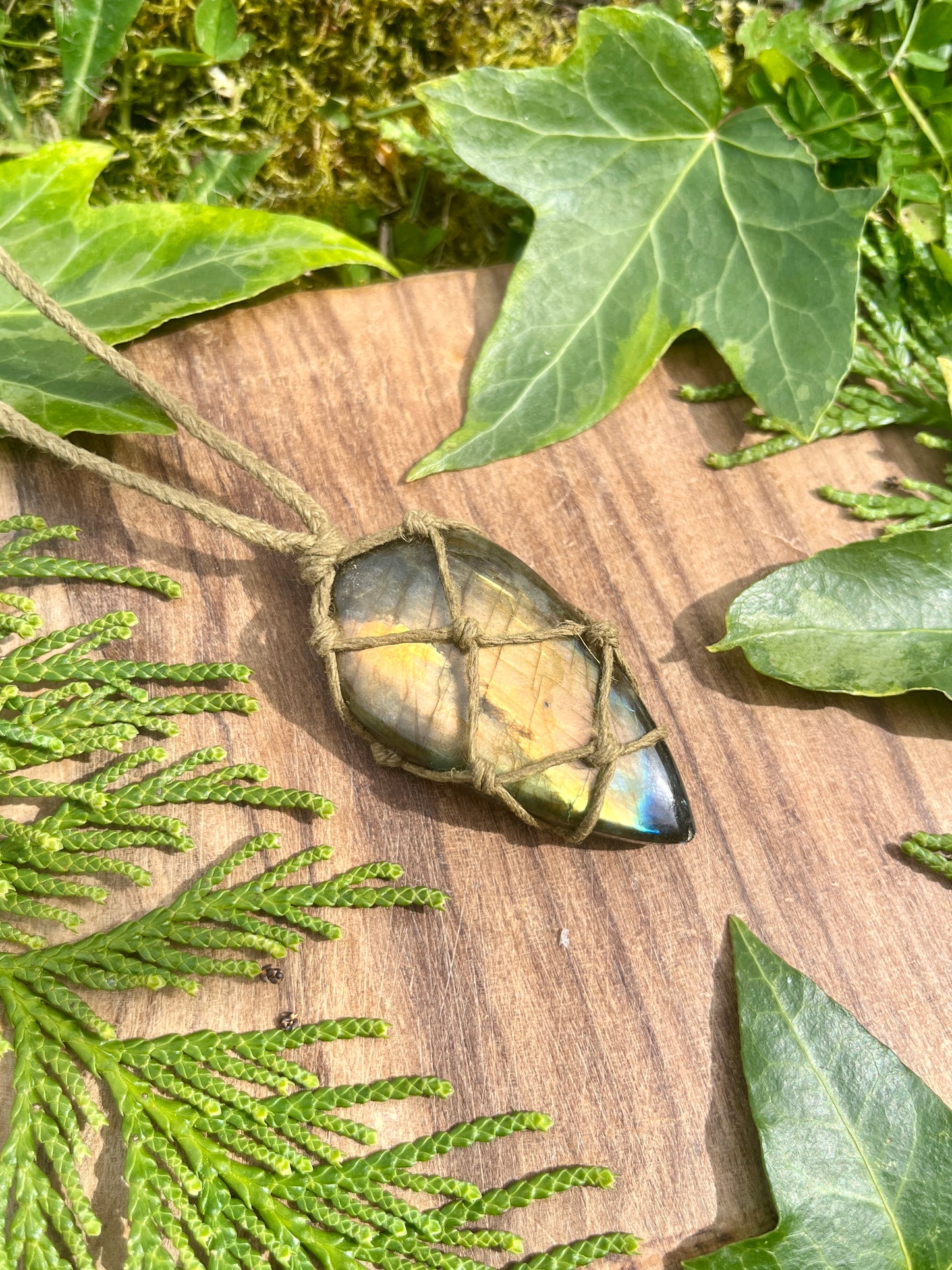 Perseverance & Courage Labradorite Necklace ⋆.˚