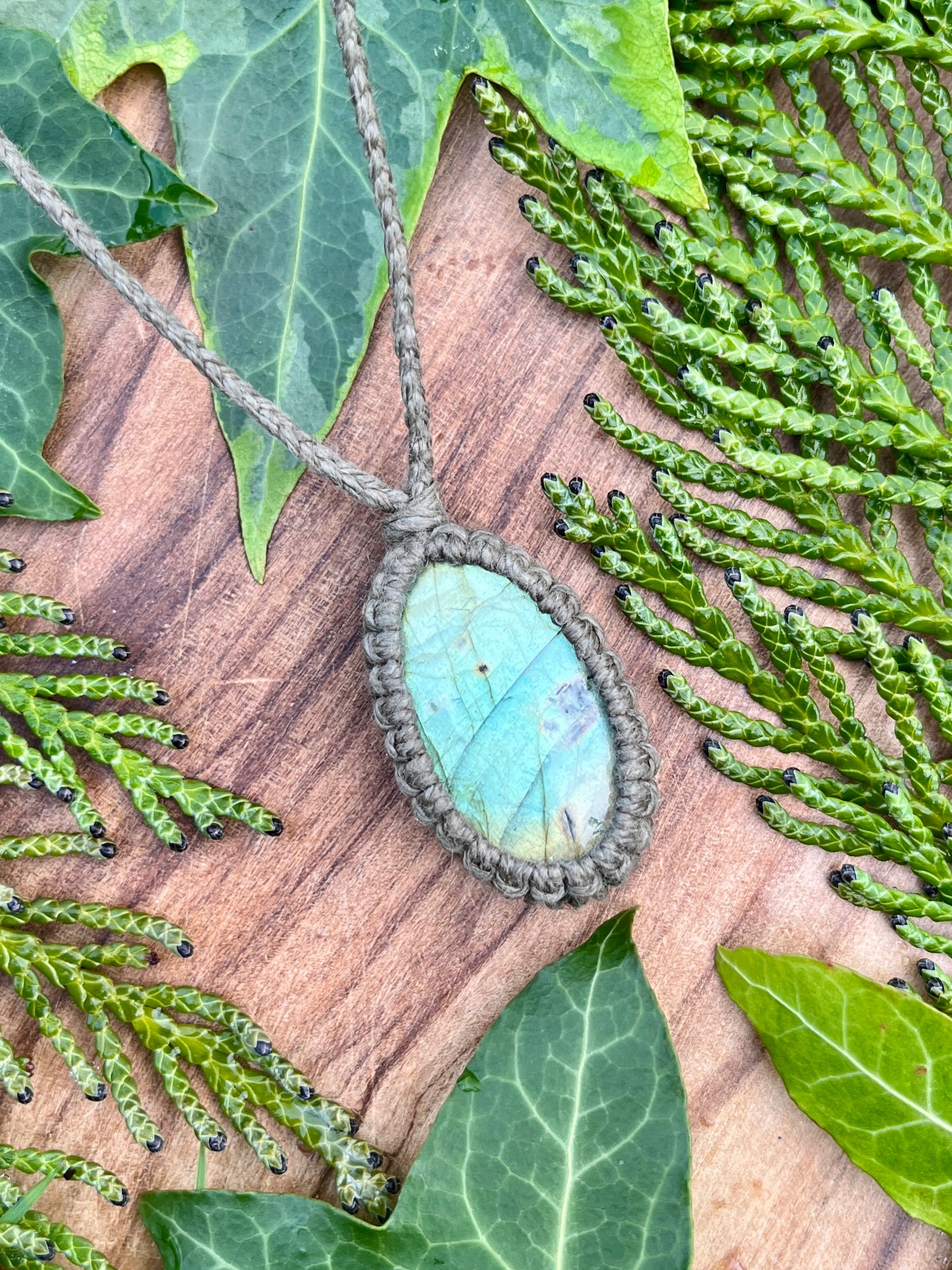 Perseverance & Courage Labradorite Necklace ⋆.˚