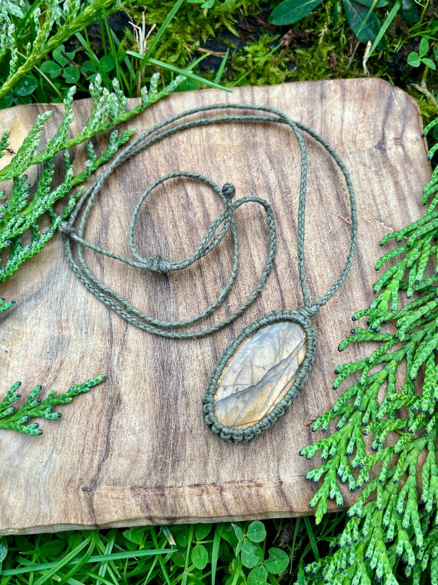 Transformation & Growth Labradorite Dainty Necklace ꩜