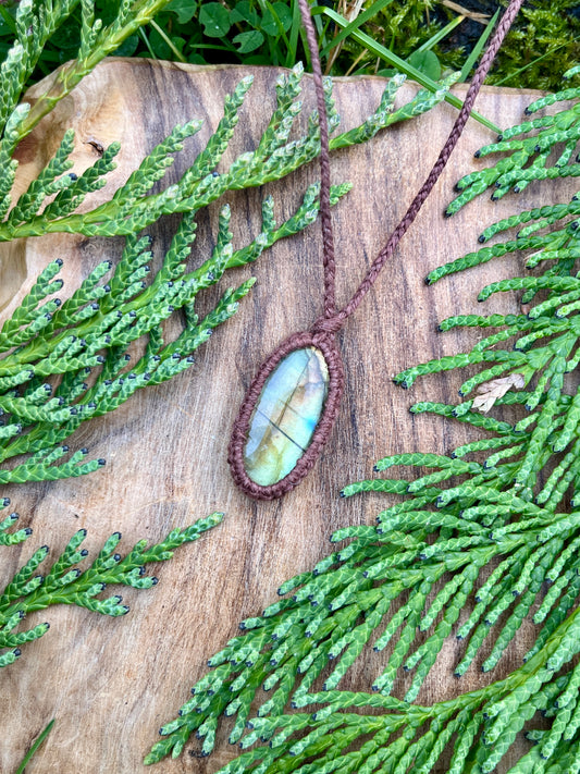Transformation & Growth Labradorite Dainty Necklace ꩜