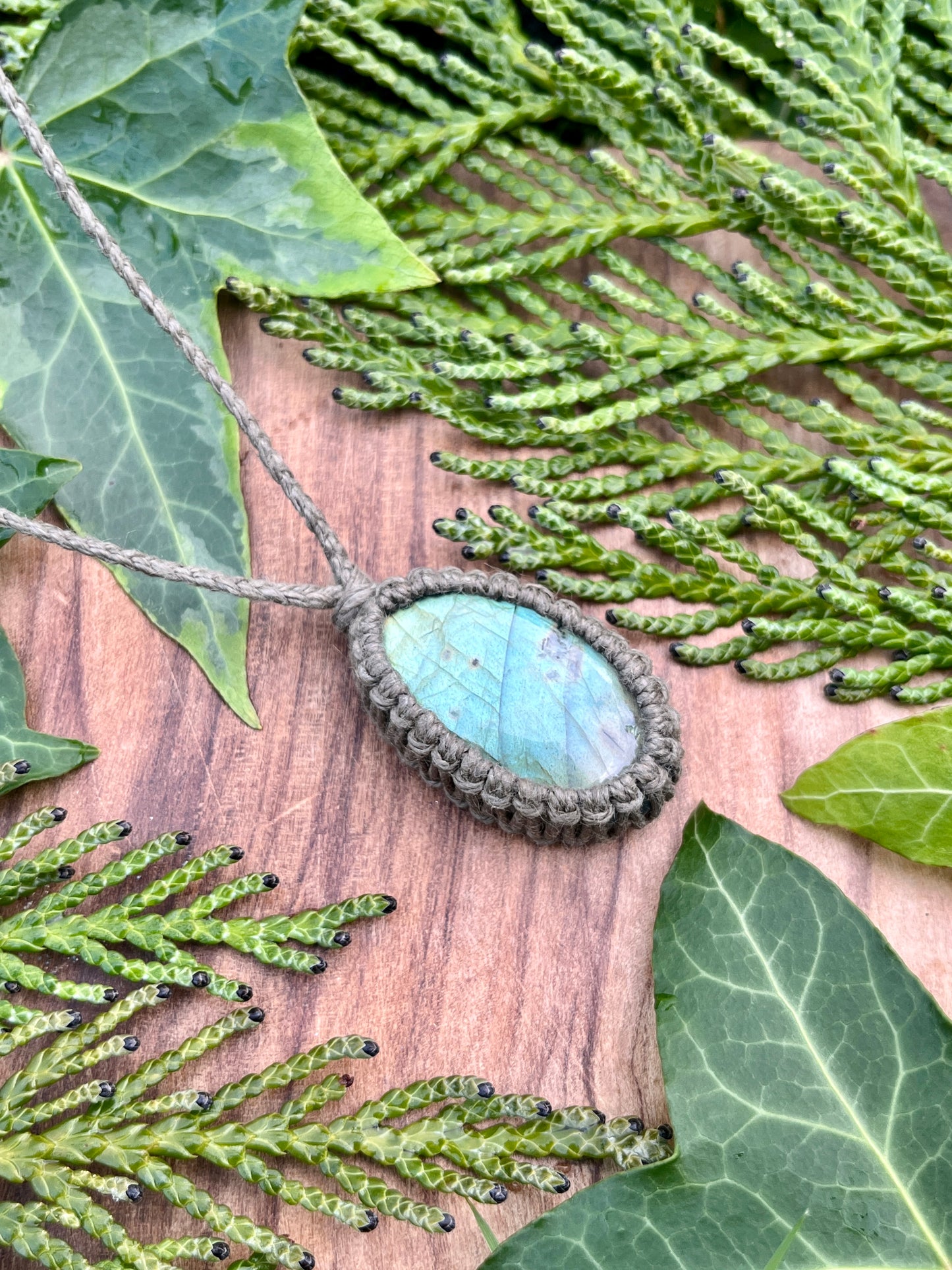 Perseverance & Courage Labradorite Necklace ⋆.˚