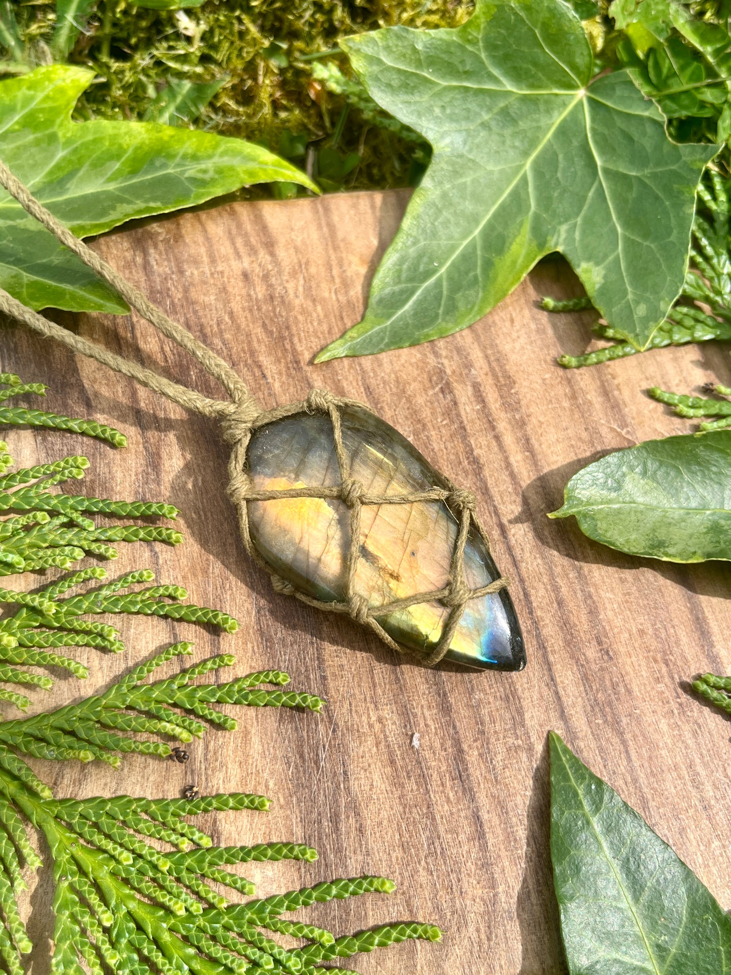 Perseverance & Courage Labradorite Necklace ⋆.˚