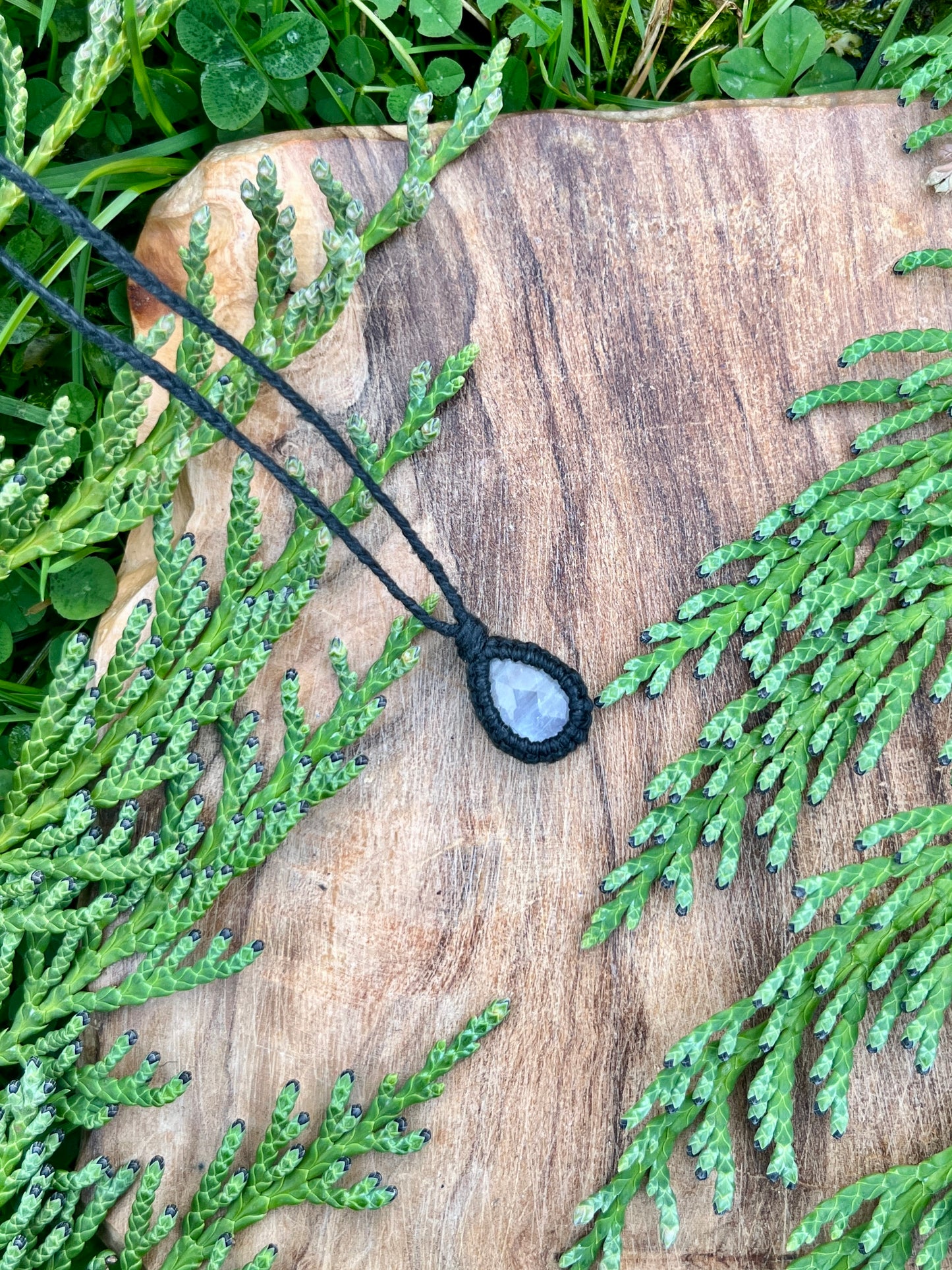 Insight & Connection Moonstone Dot Dainty Necklace ꩜