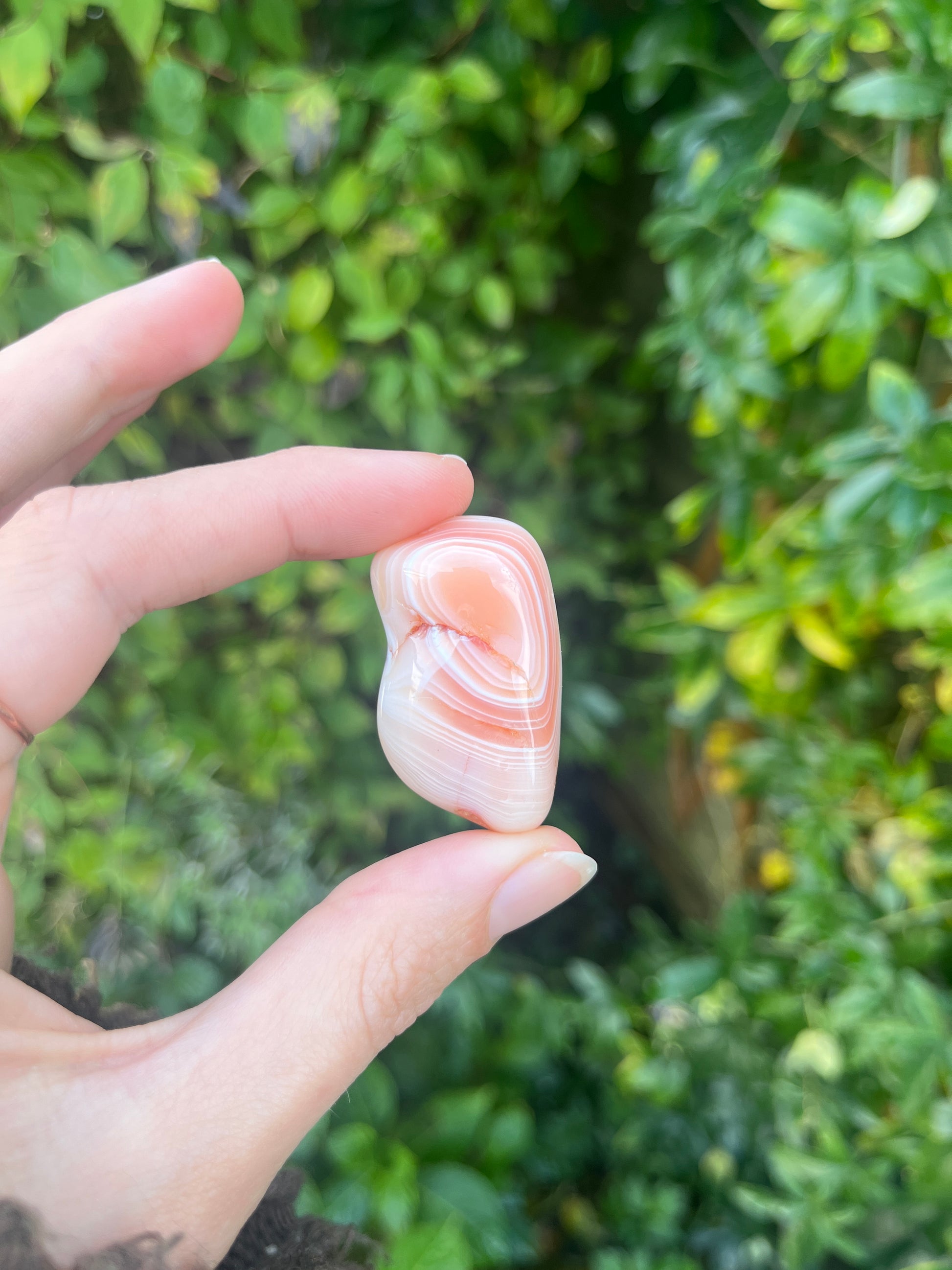 Botswana Agate Crystal Tumblestone In Hand