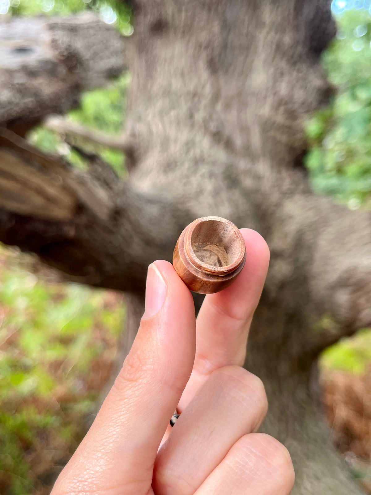 Acorn Locket