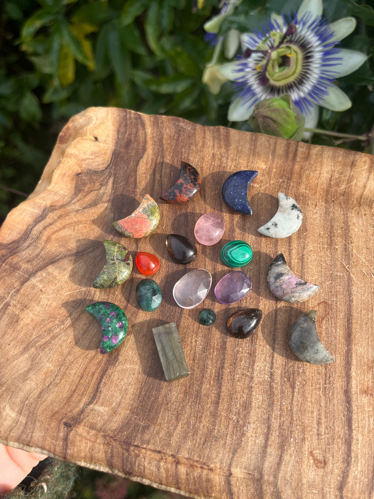 Acorn Locket + Mystery Crystal