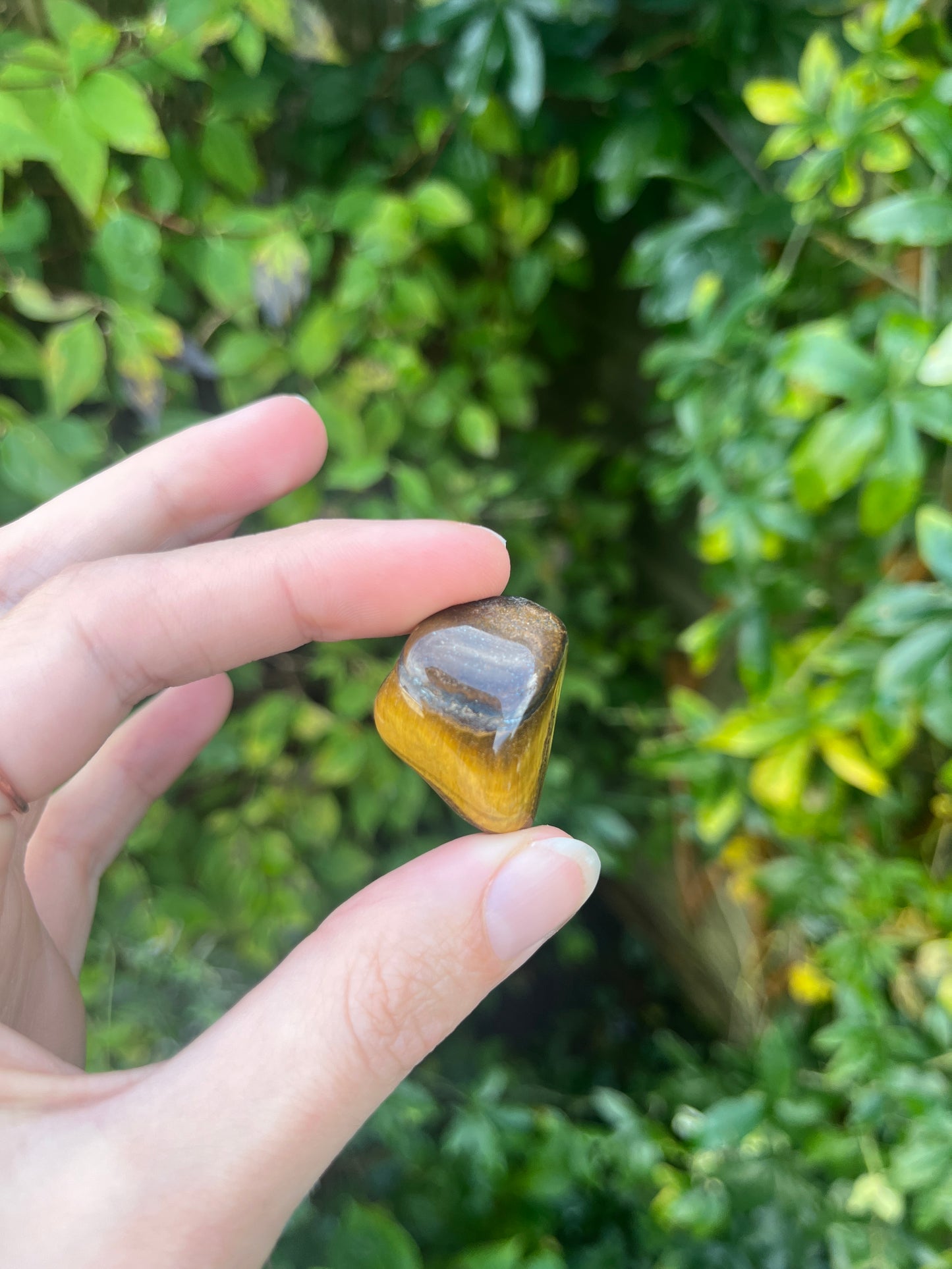 Golden Tigers Eye Crystal Tumblestone in Hand