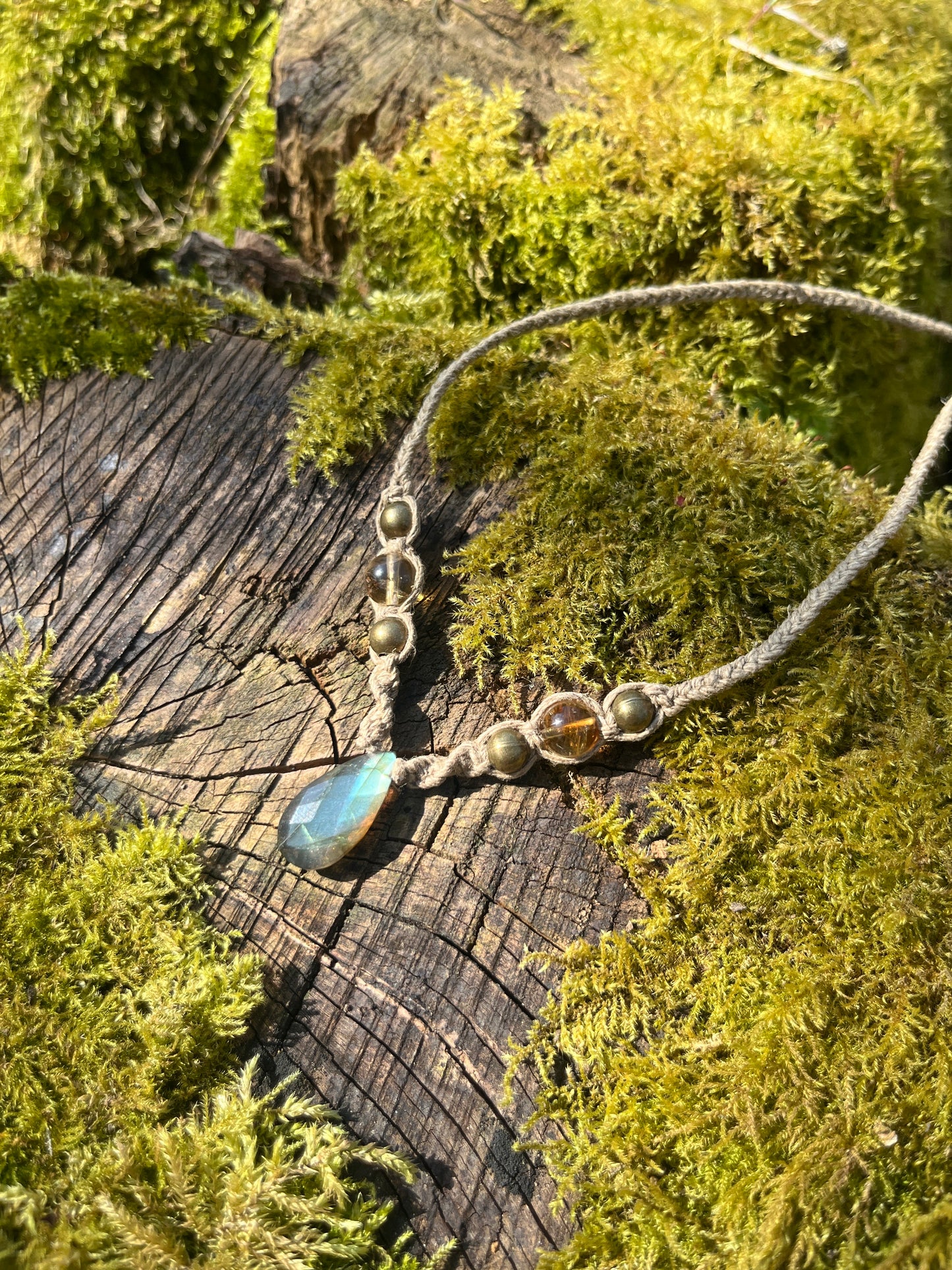 Manifester Choker ⋆˚꩜｡