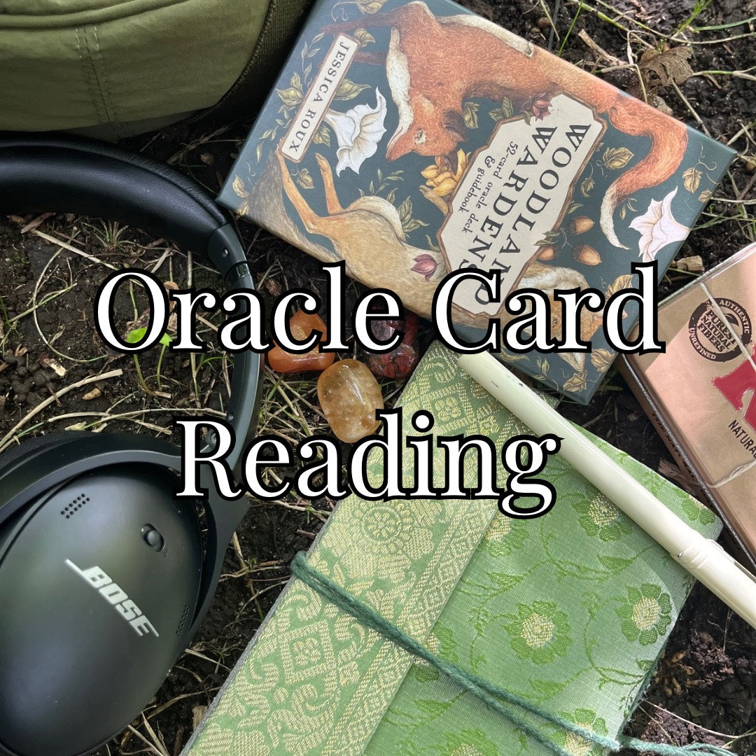 One Card Oracle Reading ⋆˙⟡