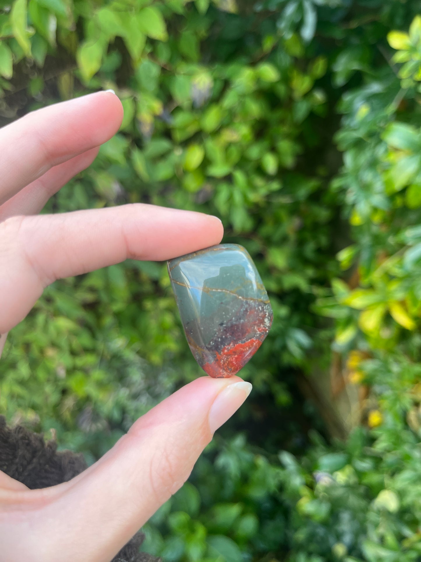 bloodstone crystal tumblestone in hand